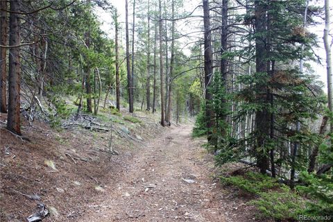 Unimproved Land in Black Hawk CO 00 Broomfield Gulch Road.jpg