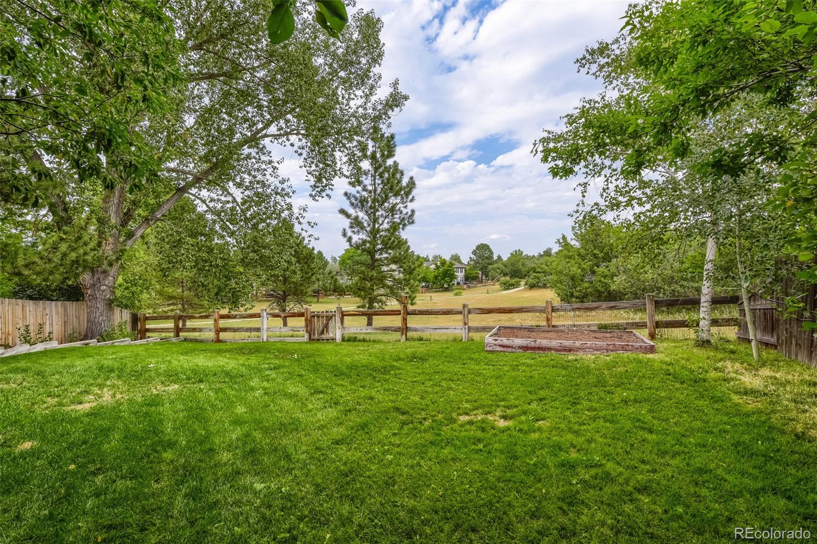 169 Clare Dr, Castle Pines, CO 80108 photo