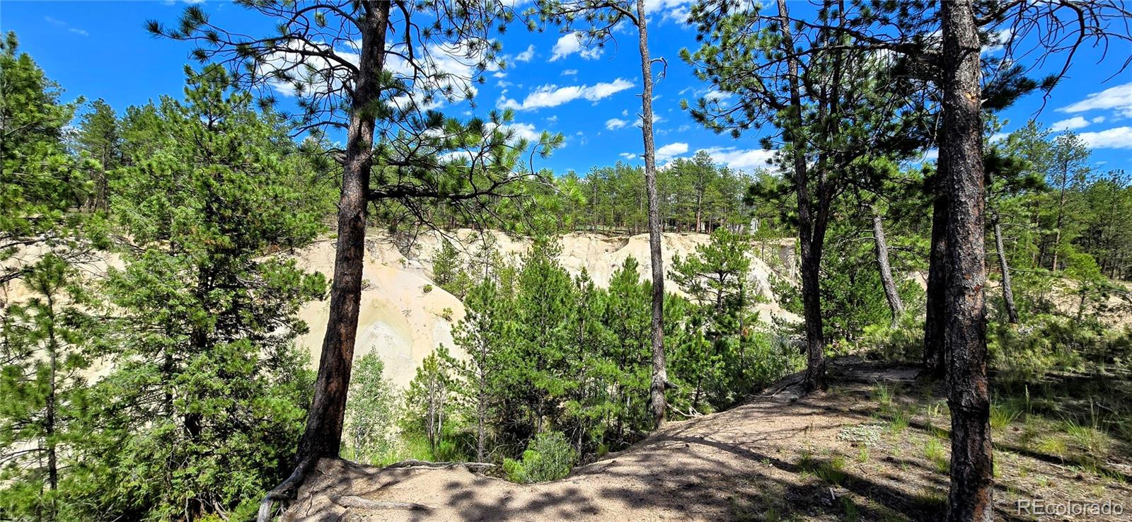 11785 Milam Rd, Colorado Springs, CO 80908 photo