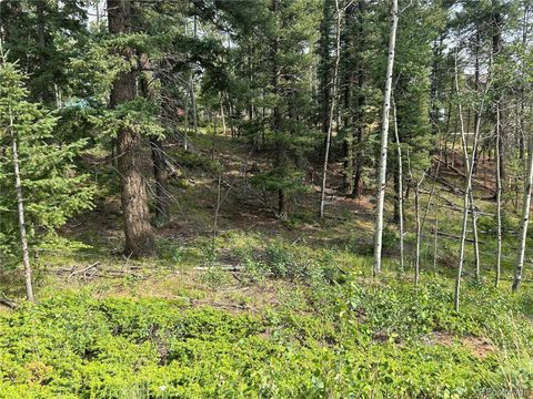 Unimproved Land in Florissant CO 127 Rampart Circle.jpg