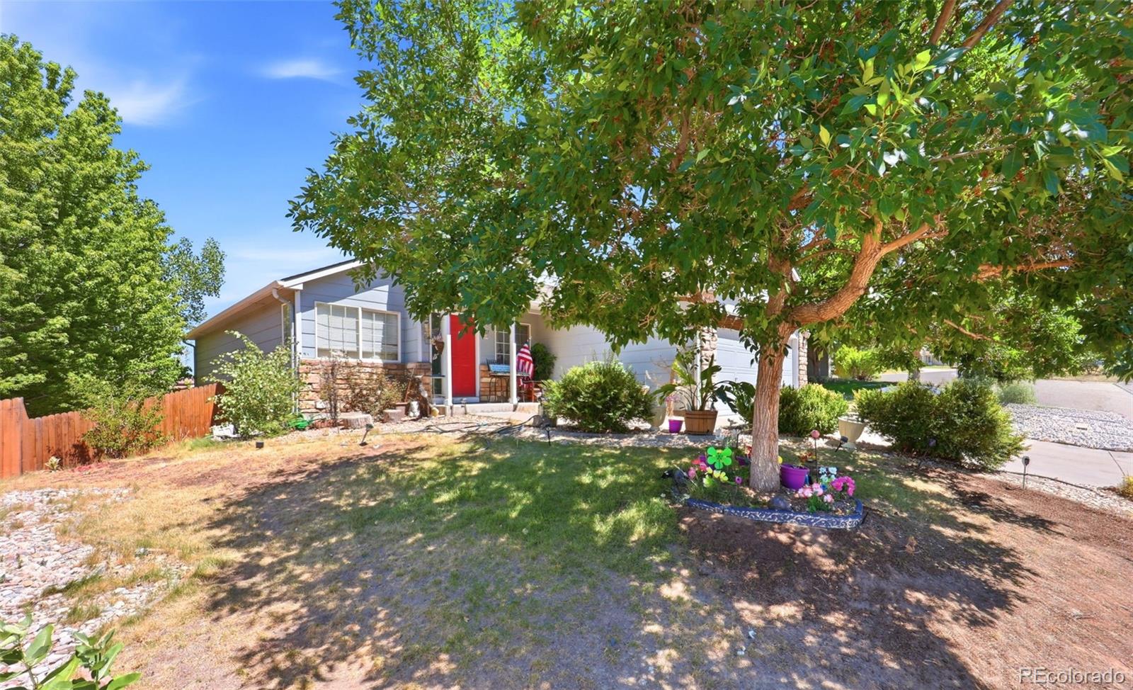 607 Branding Iron Ln, Castle Rock, CO 80104 photo