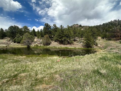Unimproved Land in Florissant CO 2332 County Road.jpg