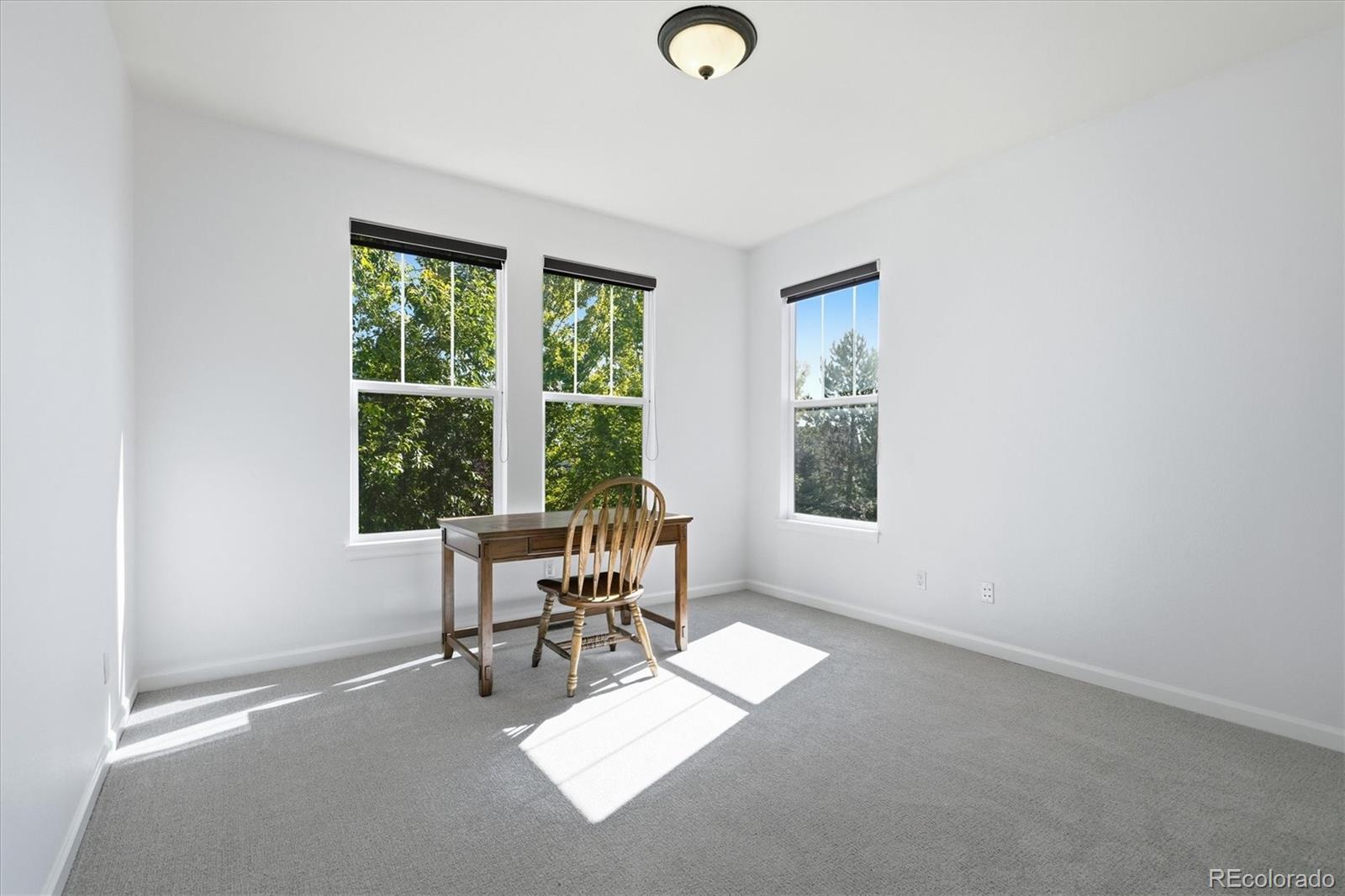 2993 Danbury Ave, Highlands Ranch, CO 80126 photo