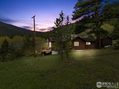 Single Family Residence in Allenspark CO 175 Ironclad View Road.jpg