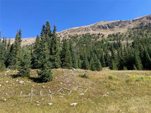 Unimproved Land in Nederland CO 4400 4th Of July Road.jpg