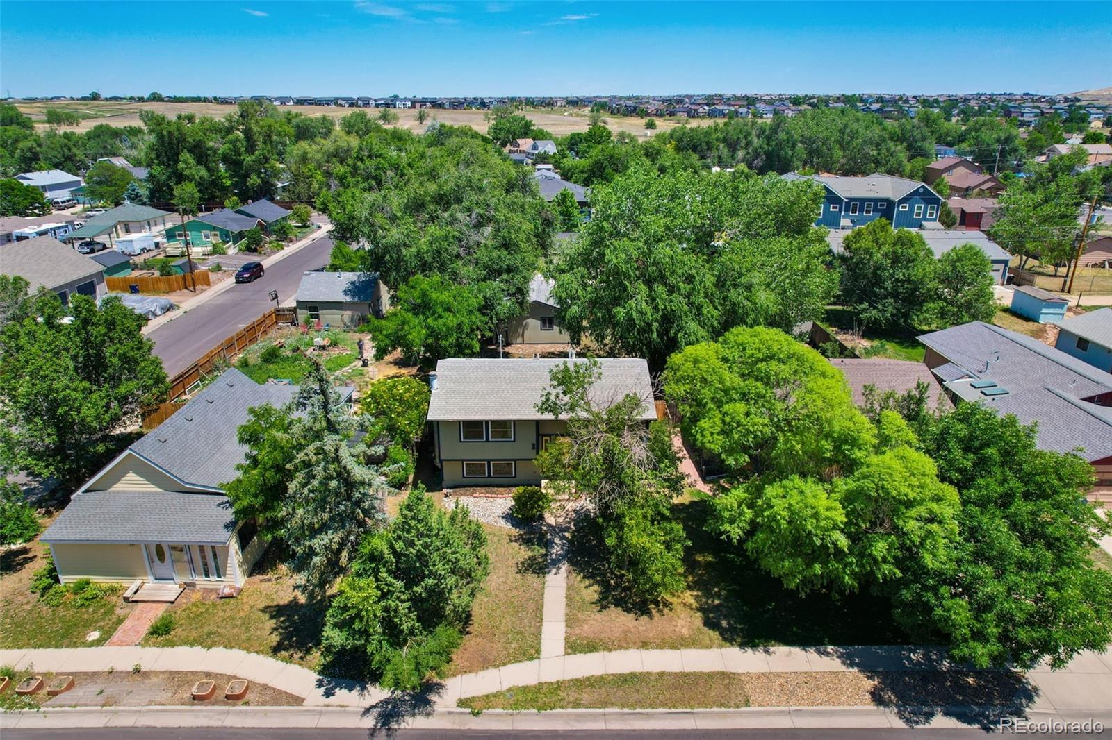 275 Pierce St, Erie, CO 80516 photo
