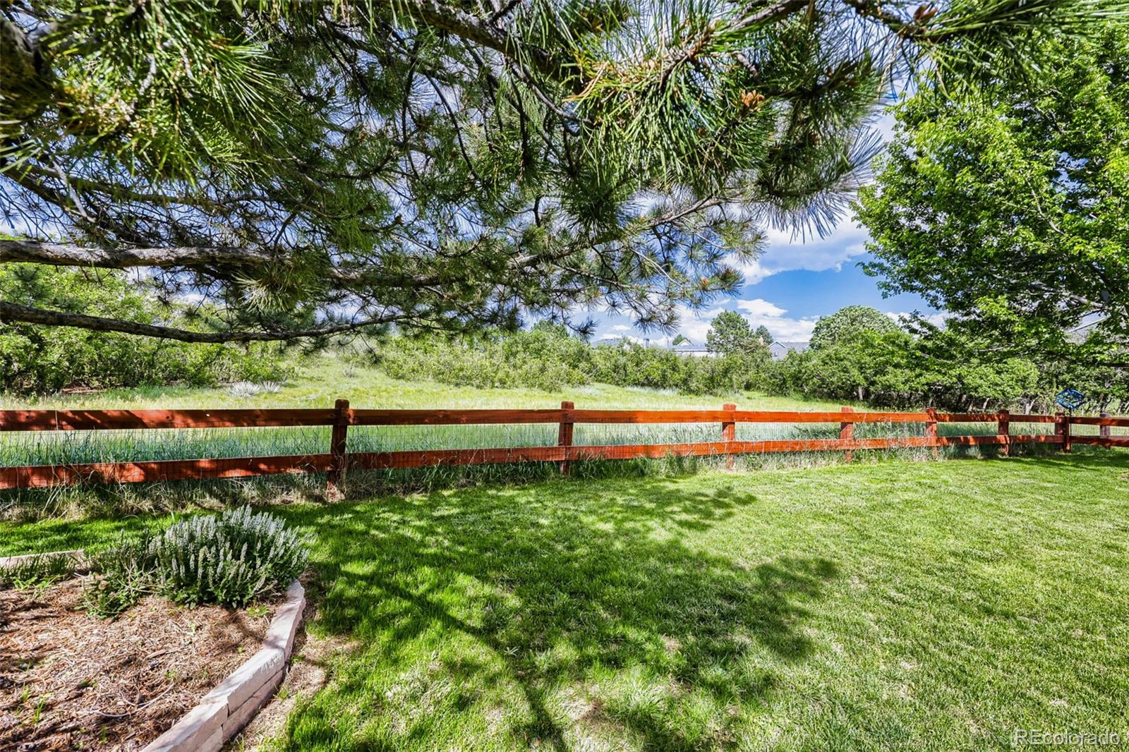 7184 Campden Pl, Castle Pines, CO 80108 photo