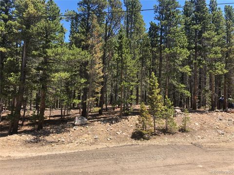 Unimproved Land in Idaho Springs CO Silver Creek Road.jpg