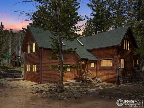 Single Family Residence in Allenspark CO 251 Haugen Slide Road.jpg