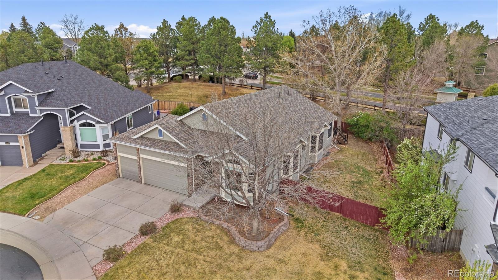 10894 Willow Reed Cir, Parker, CO 80134 photo