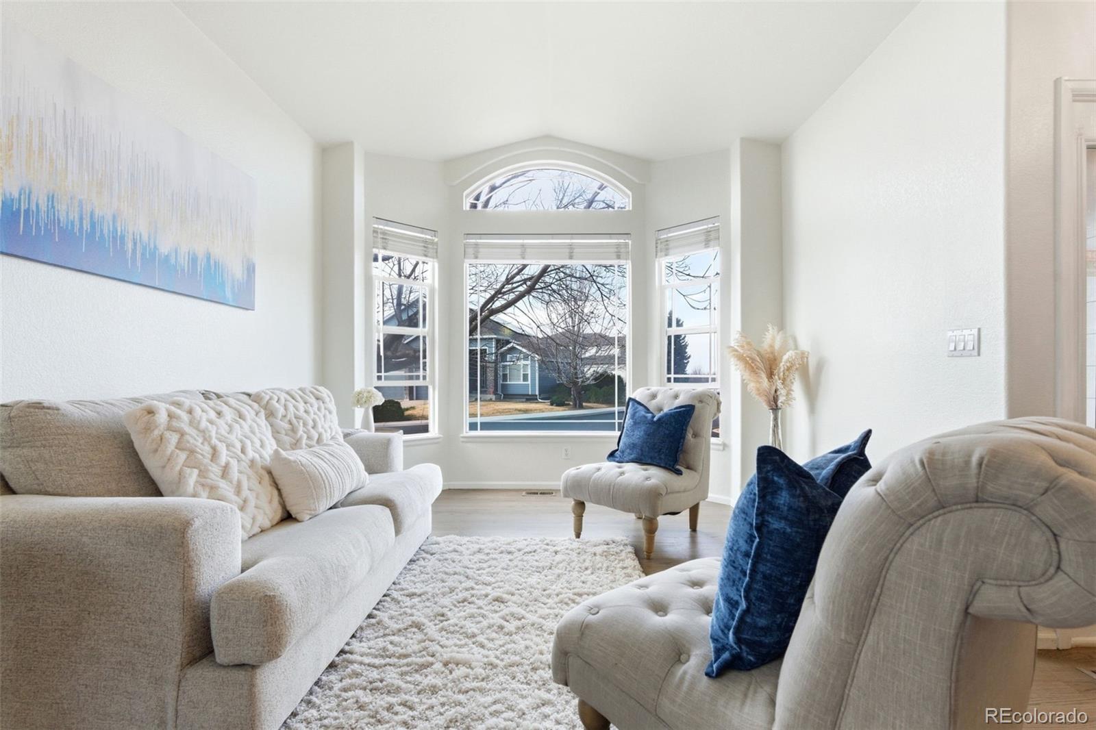 10894 Willow Reed Cir, Parker, CO 80134 photo