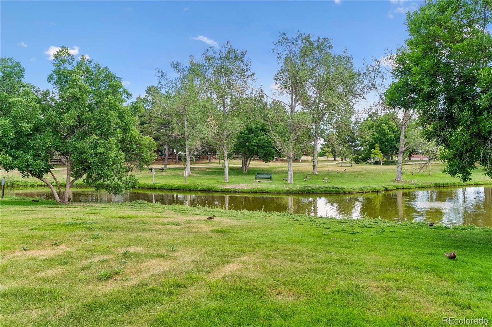 10417 Red Mtn, Littleton, CO 80127 photo