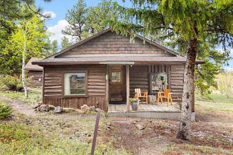 Single Family Residence in Allenspark CO 104 County Road 90.jpg