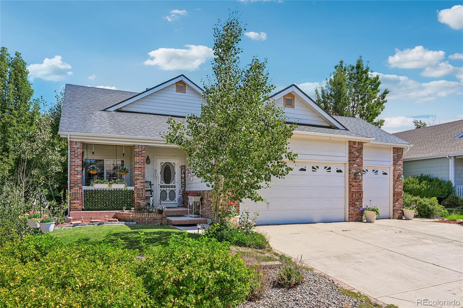 445 Mango Dr, Castle Rock, CO 80104 photo