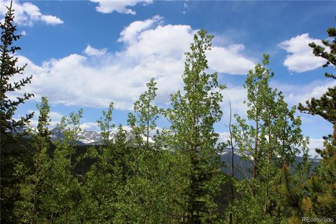 Unimproved Land in Idaho Springs CO Group 1 Lamartine Road.jpg