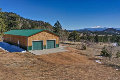 Single Family Residence in Lake George CO 523 Pulver Road.jpg