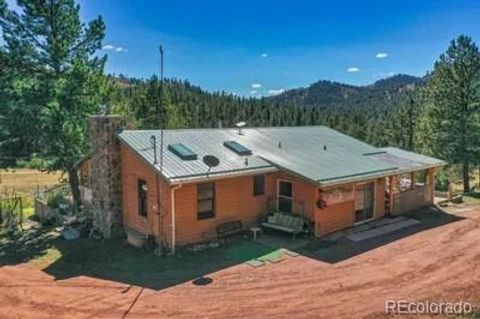 Single Family Residence in Lake George CO 1061 Toms Ranch Road.jpg