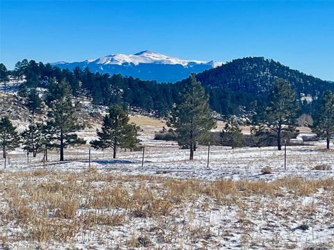 Unimproved Land in Lake George CO 43 Stoll Circle.jpg