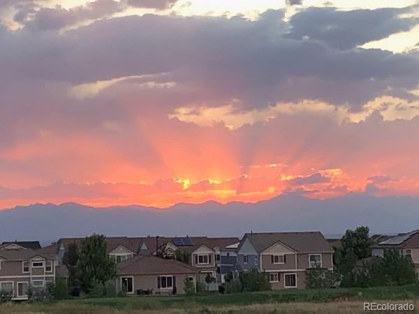 5299 Netherland St, Denver, CO 80249 photo