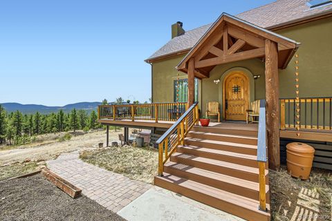 Single Family Residence in Florissant CO 133 Lake Drive.jpg