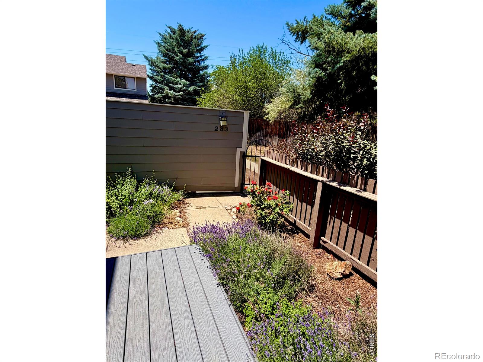 283 S Taft Ct, Louisville, CO 80027 photo