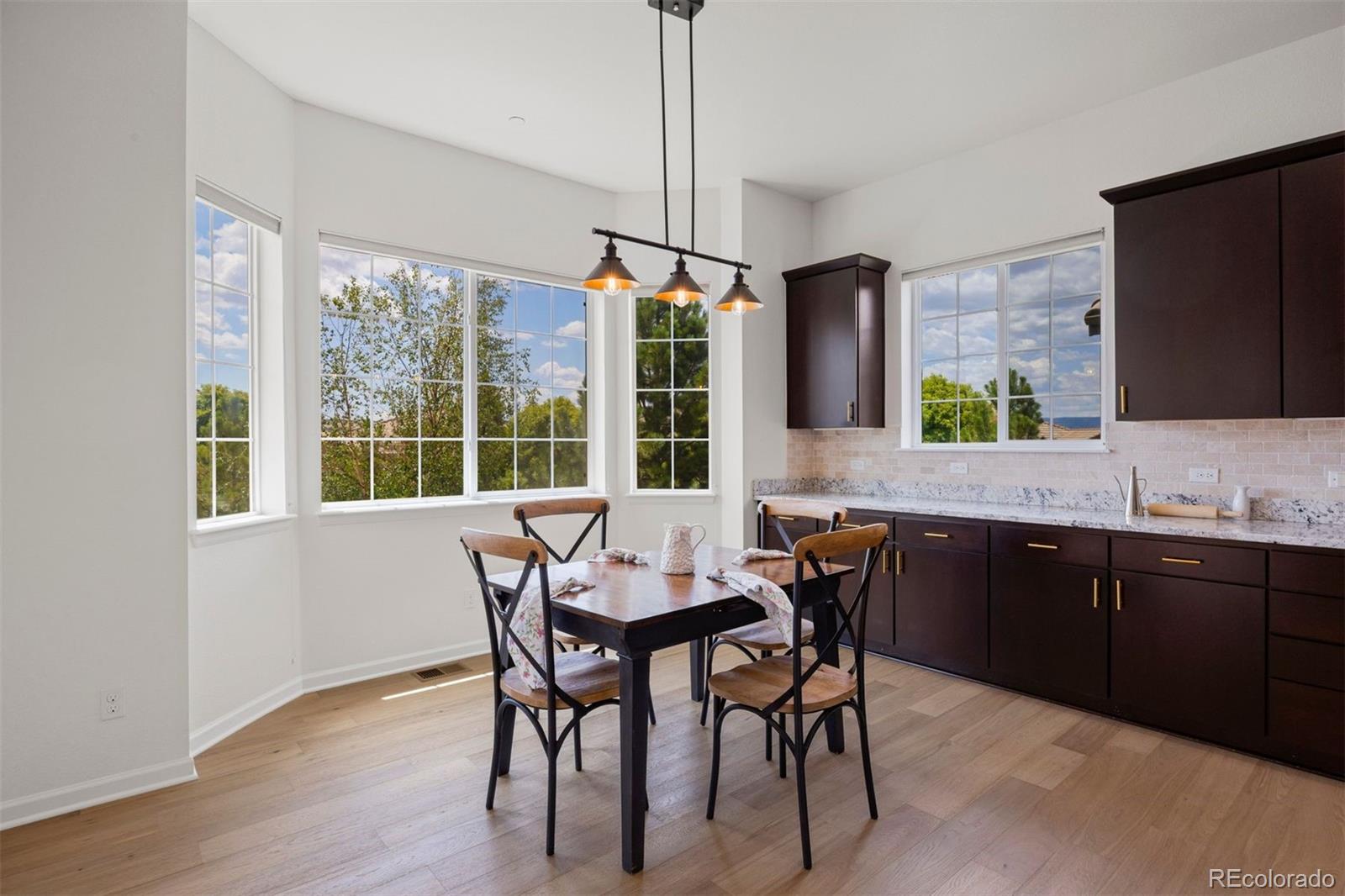 5136 Le Duc Dr, Castle Rock, CO 80108 photo