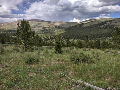 Unimproved Land in Alma CO 0 Snow Cap Peaks Road.jpg