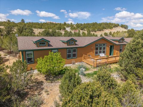 Single Family Residence in Buena Vista CO 13280 County Road 353.jpg