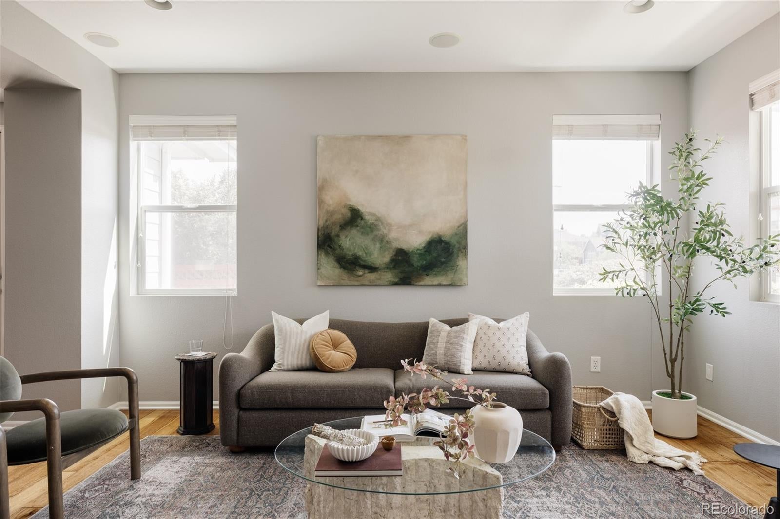 3606 Willow St, Denver, CO 80238 photo