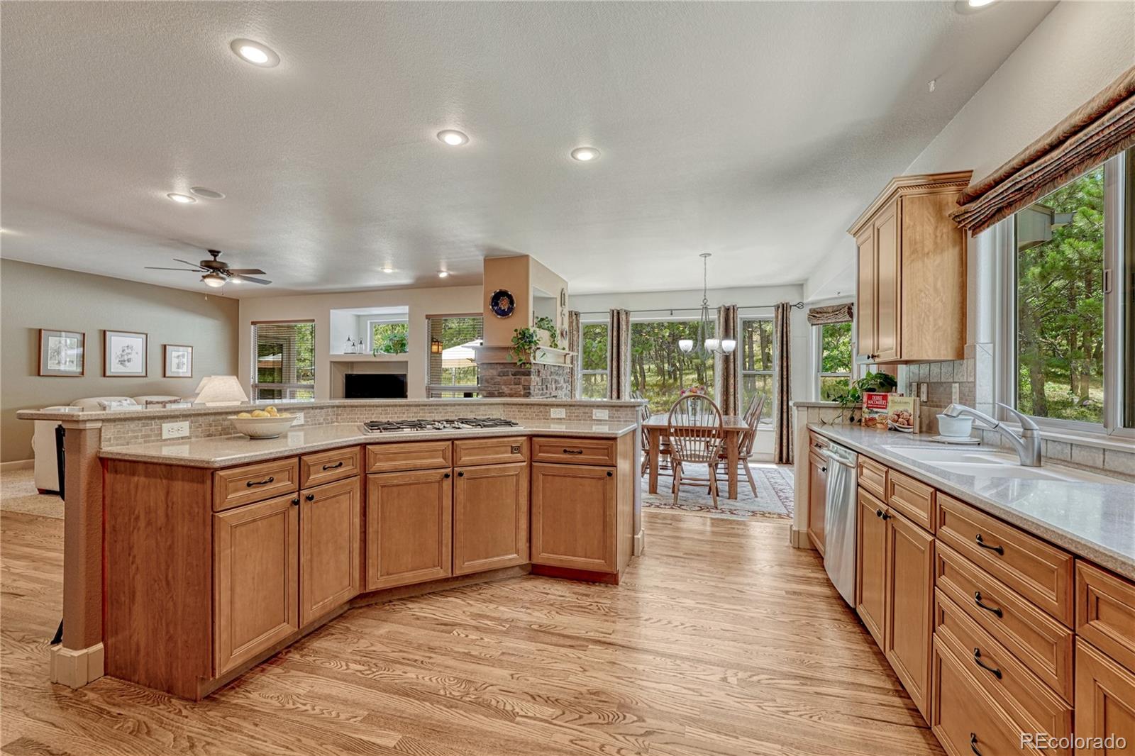 1103 Greenland Forest Dr, Monument, CO 80132 photo