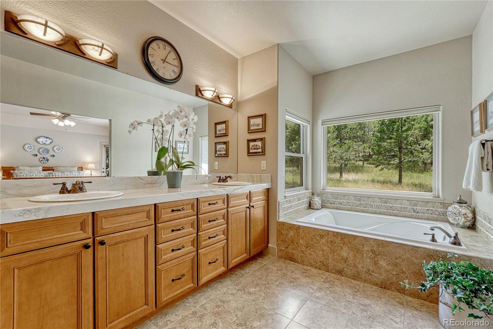 1103 Greenland Forest Dr, Monument, CO 80132 photo