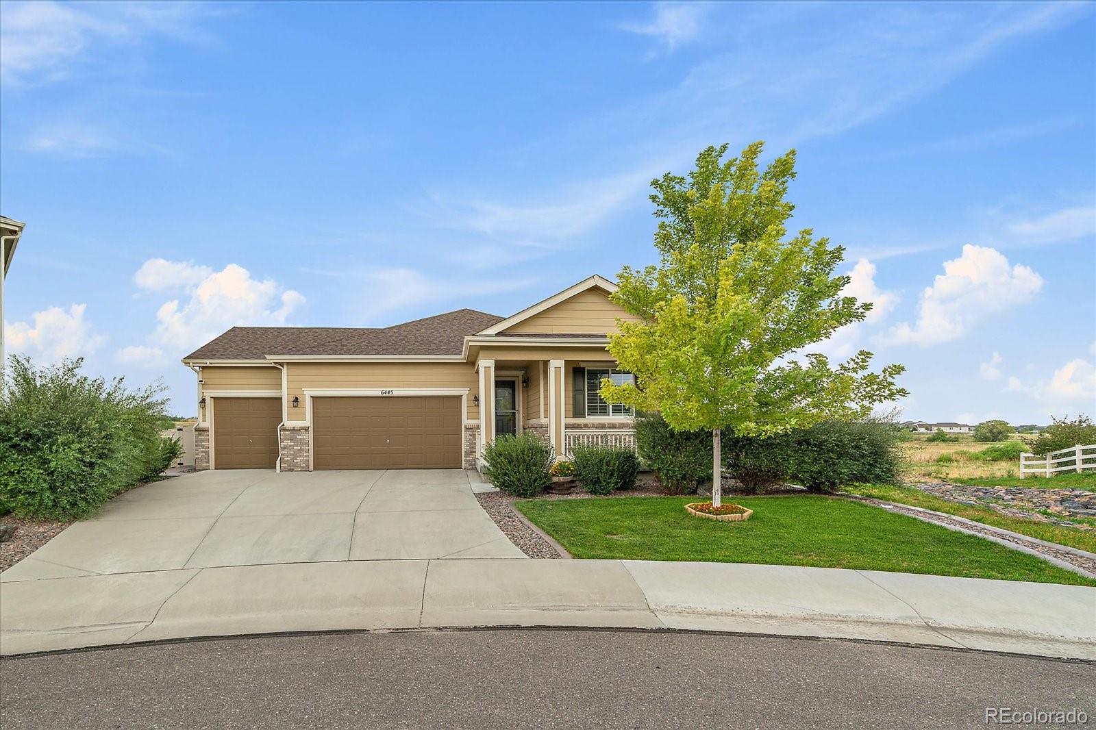 6445 Coldwater Dr, Parker, CO 80134 photo