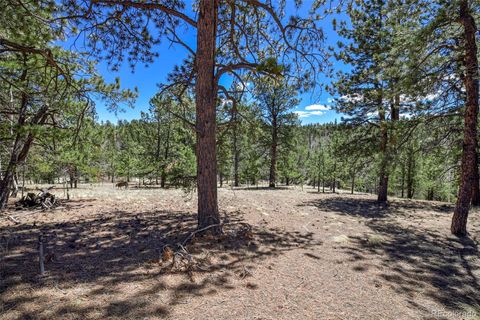 Unimproved Land in Florissant CO 112 Blue Jay Lane.jpg