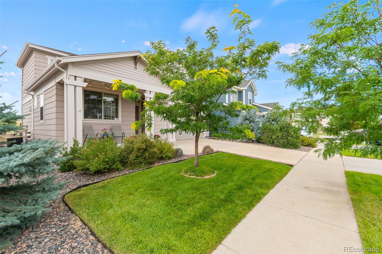 23300 York Ave, Parker, CO 80138 photo