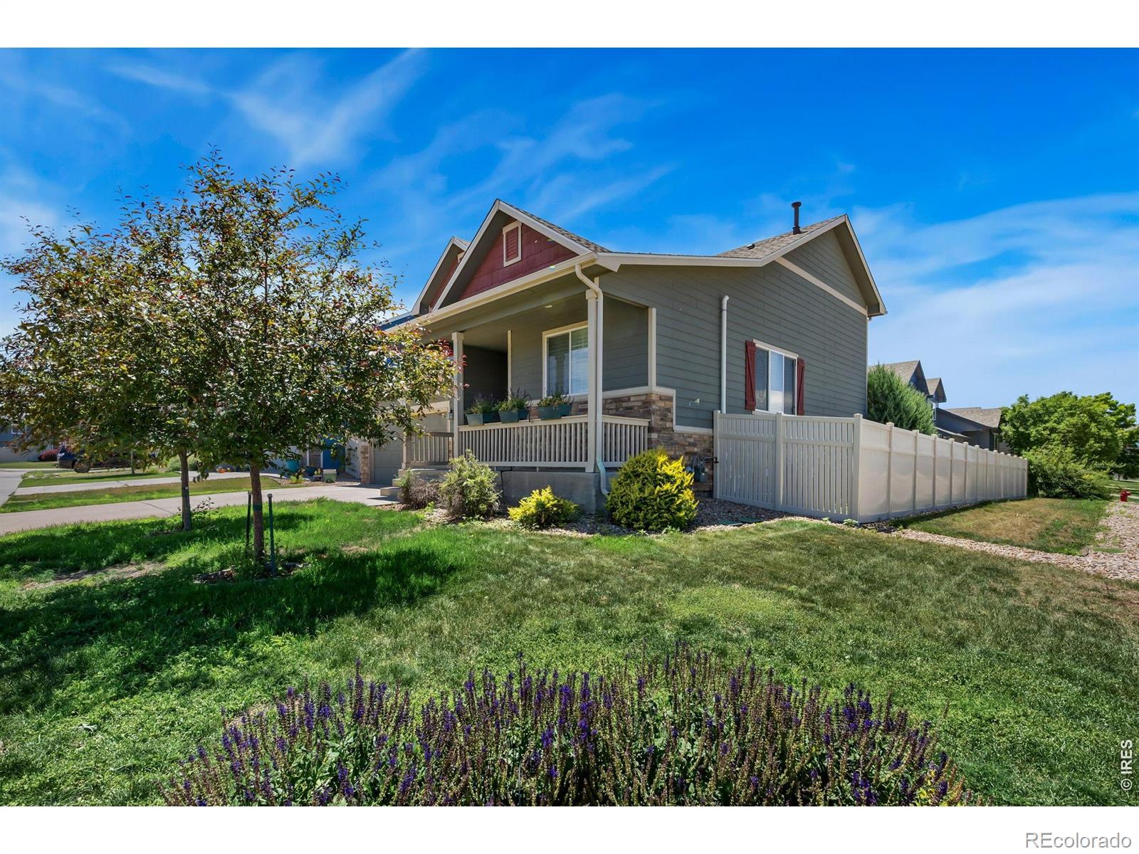 11431 Cherryvale St, Firestone, CO 80504 photo