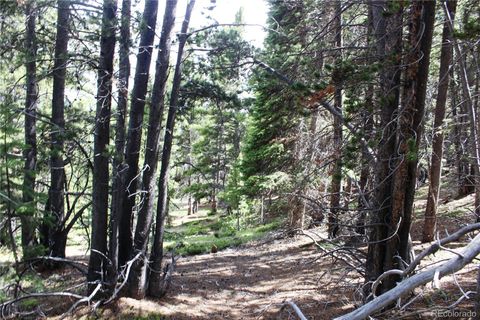 Unimproved Land in Idaho Springs CO Group 2-3 Lamartine Road.jpg
