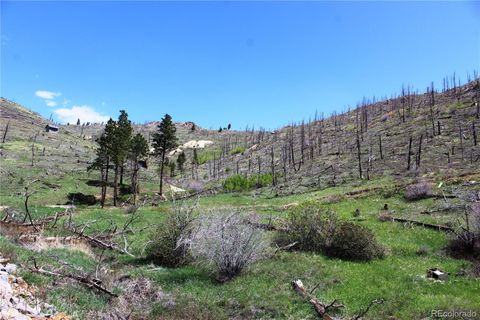 Unimproved Land in Boulder CO 00 County Rd 89.jpg