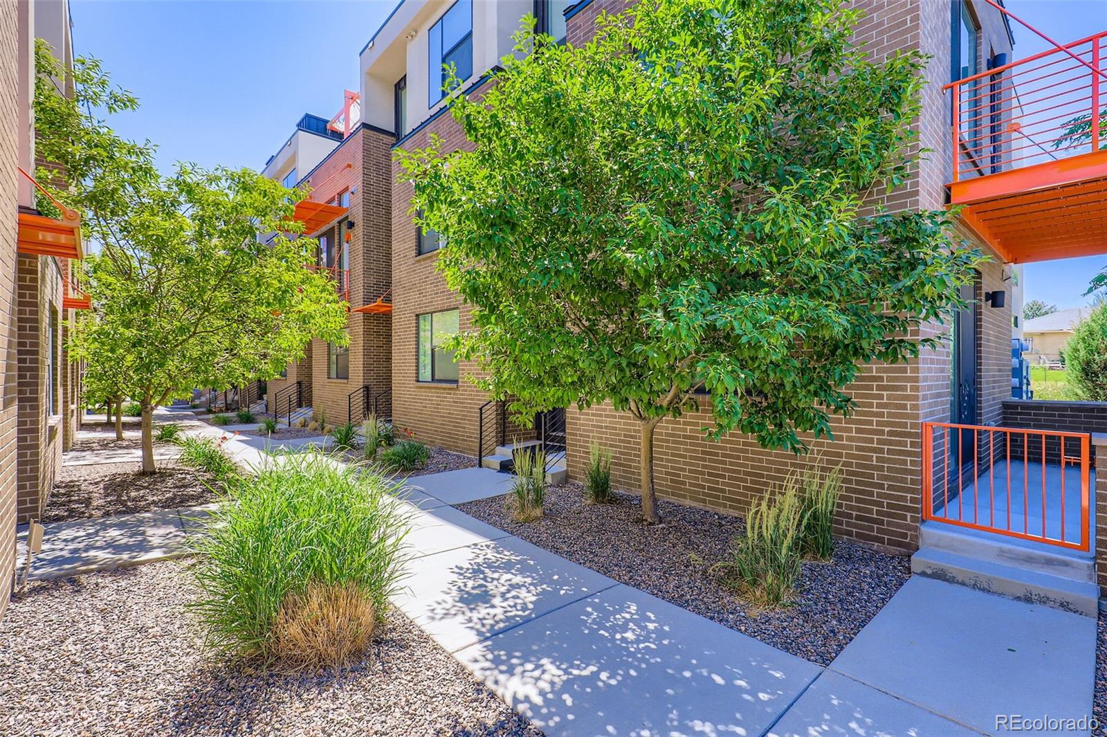 3030 Wilson Ct #3, Denver, CO 80205 photo