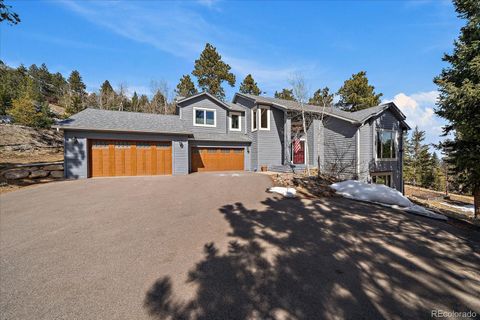 Single Family Residence in Evergreen CO 6637 Berry Bush Lane.jpg