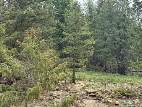 Unimproved Land in Black Hawk CO 1700 Dory Hill Road.jpg