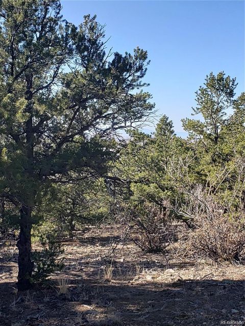 Unimproved Land in Mosca CO 150/152 Lake Of The Falls Parkway.jpg