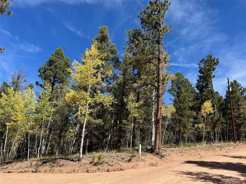 Unimproved Land in Florissant CO 643 Pinewood Road.jpg