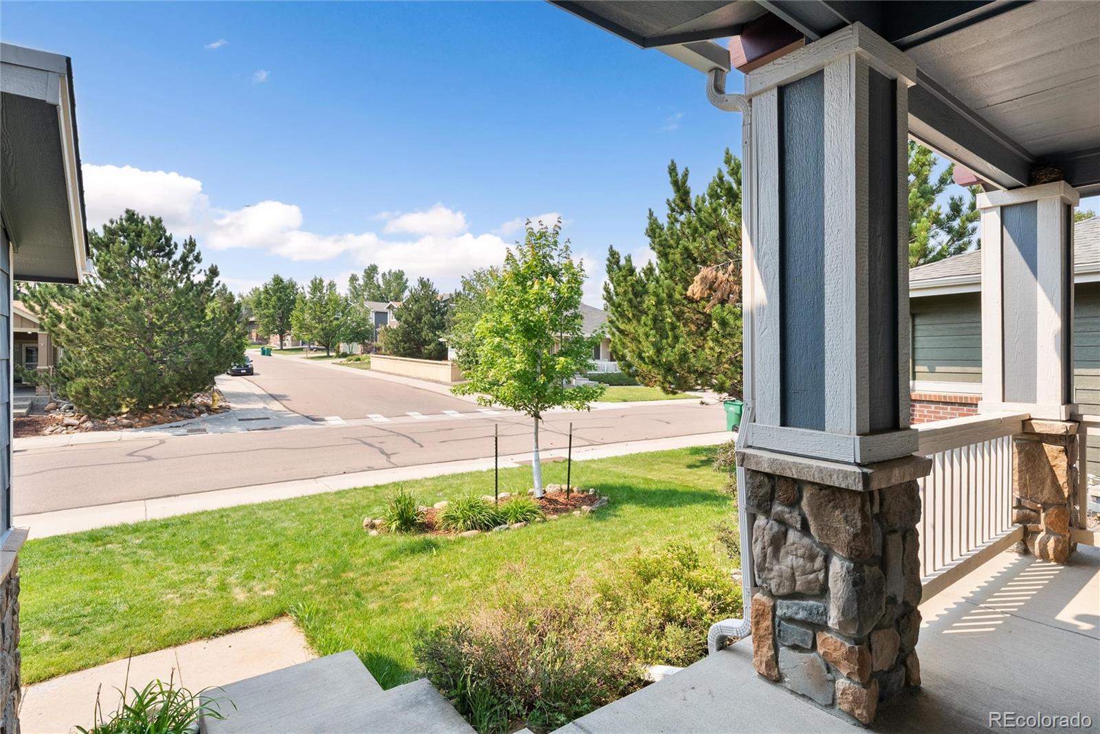 4341 Millwagon Trl, Castle Rock, CO 80109 photo