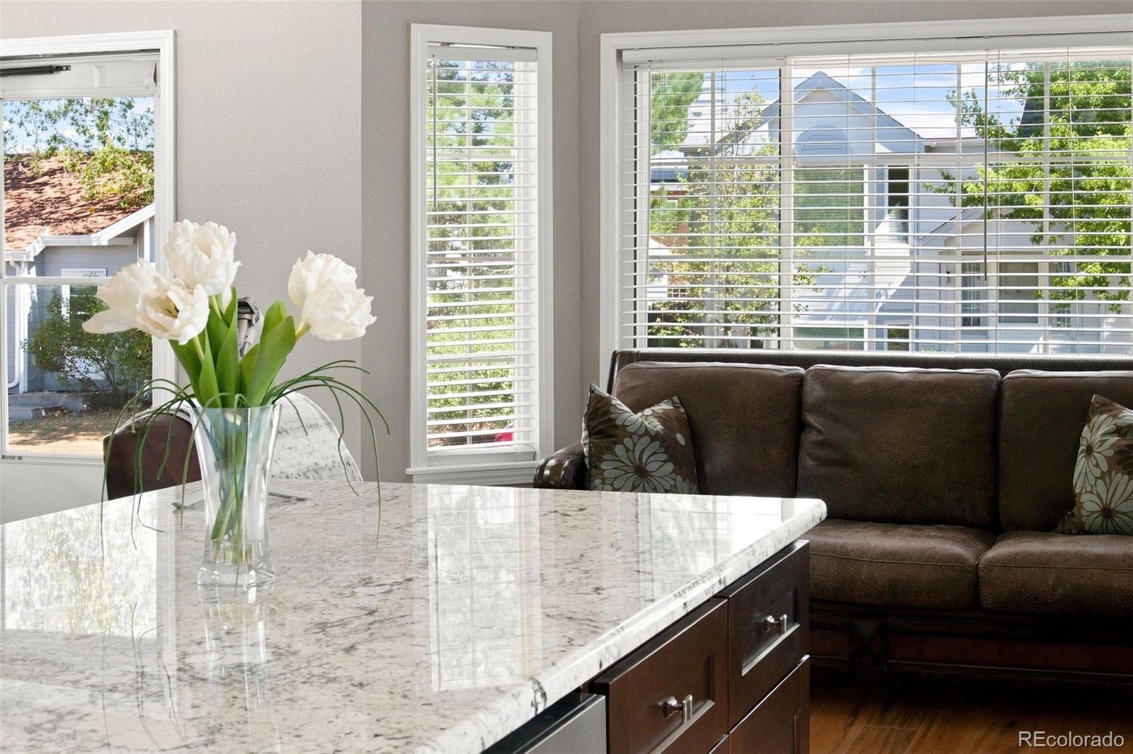 57 S Quicksilver Ave, Castle Rock, CO 80104 photo