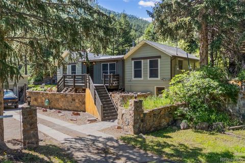 Single Family Residence in Idaho Springs CO 55 Two Moon Road.jpg