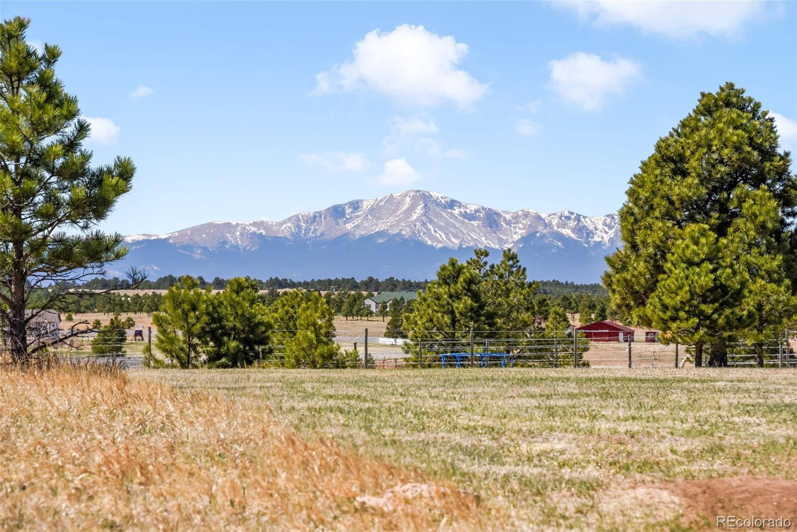 18150 Pinon Park Rd, Peyton, CO 80831 photo