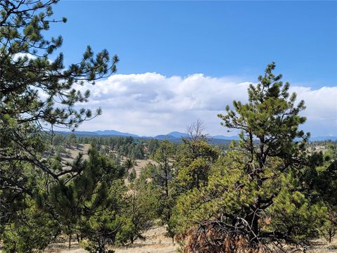 Unimproved Land in Florissant CO 84 Victor Circle.jpg