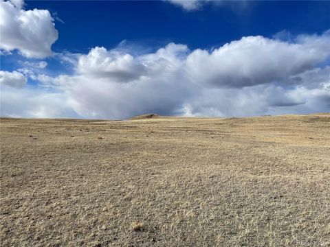 Unimproved Land in Hartsel CO 305 Badger Lane.jpg