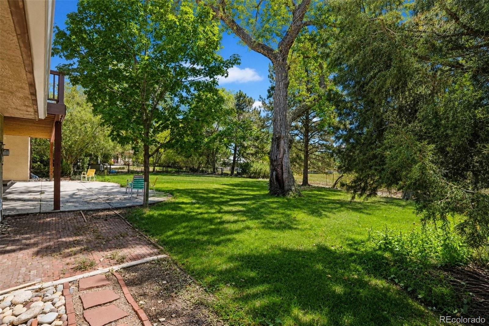 11786 W 53 Pl, Arvada, CO 80002 photo