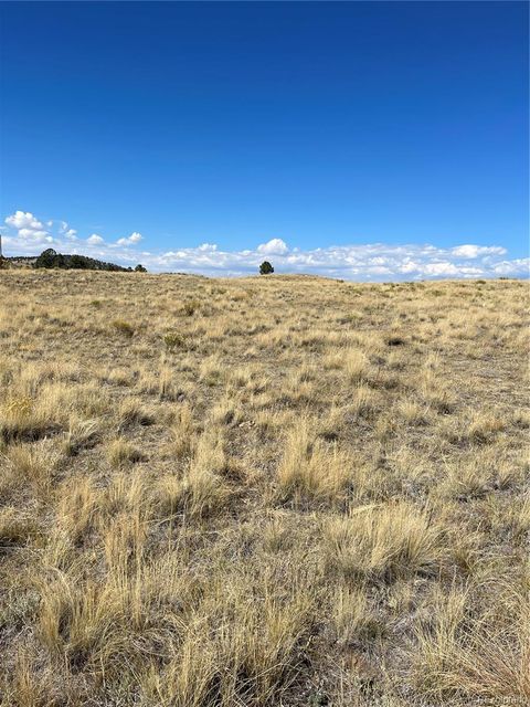 Unimproved Land in Florissant CO 309 Castle Mountain Drive.jpg